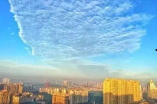 彭州新闻爆料,揭秘当地热点事件背后的真相 第1张 彭州新闻爆料,揭秘当地热点事件背后的真相 第1张