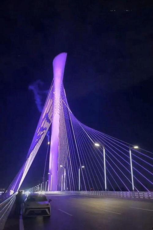 石家庄大桥爆料视频最新,揭秘工程进展与争议焦点